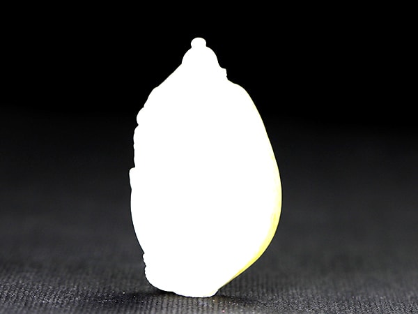 朱东伟职位介绍